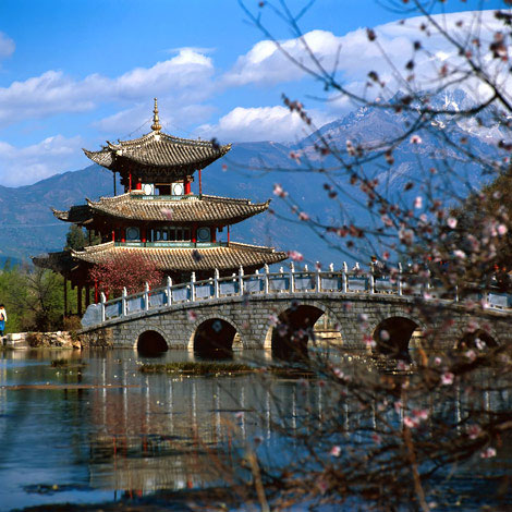 hong kong, japonia, calatorii, vacanta, cladiri, sushi, asia, insula hong kong