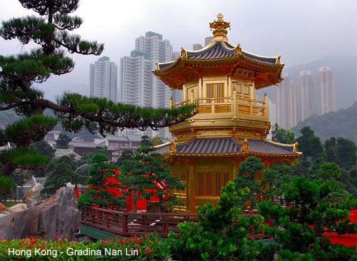 hong kong, japonia, calatorii, vacanta, cladiri, sushi, asia, insula hong kong