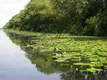 canal in Delta Dunarii