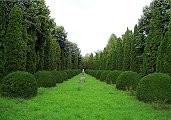 Gradina Botanica