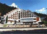 Hotel Bradul