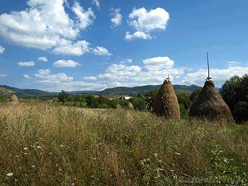Tara Oasului