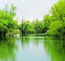 canal