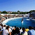 Delfinariul