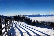 Poana Brasov iarna