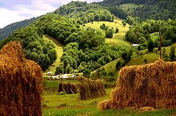 Maramures