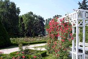 Parcul Rozelor