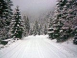 Sinaia iarna