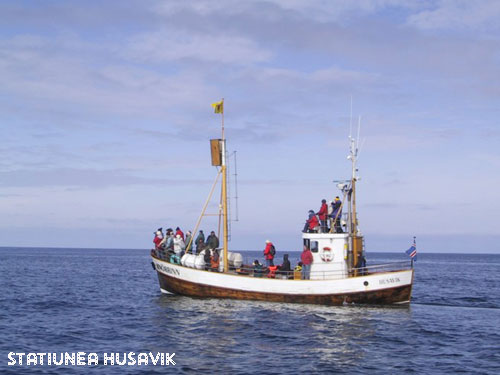 Vacanta in Statiunea Husavik, vacante de vis, calatorie, insule si locuri de scufundat