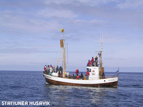 Vacanta in Statiunea Husavik, vacante de vis, calatorie, insule si locuri de scufundat