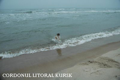 Vacanta in Cordonul litoral Kursk, vacante de vis, calatorie, insule si locuri de scufundat, top plaje de vis