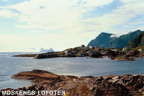 Vacanta in Moskenes, Lofoten, vacante de vis, calatorie, insule si locuri de scufundat, top plaje de vis
