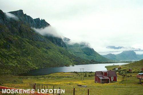 Vacanta in Moskenes, Lofoten, vacante de vis, calatorie, insule si locuri de scufundat, top plaje de vis