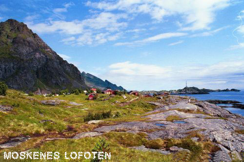 Vacanta in Moskenes, Lofoten, vacante de vis, calatorie, insule si locuri de scufundat, top plaje de vis