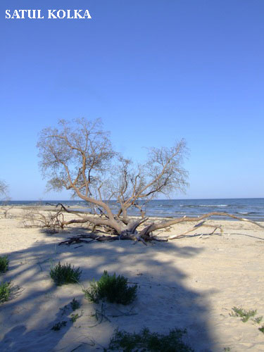 Vacanta in Kolka, Parcul National Sliteres, vacante de vis, calatorie, insule si locuri de scufundat, top plaje de vis