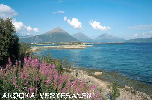 Vacanta in Insulele Andoya, Vesteralen, vacante de vis, calatorie, insule si locuri de scufundat, top plaje de vis