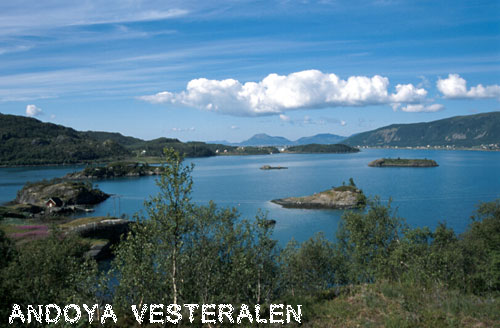 Vacanta in Insulele Andoya, Vesteralen, vacante de vis, calatorie, insule si locuri de scufundat, top plaje de vis