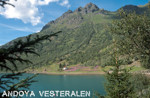Vacanta in Insulele Andoya, Vesteralen, vacante de vis, calatorie, insule si locuri de scufundat, top plaje de vis
