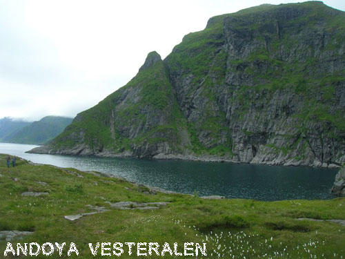 Vacanta in Insulele Andoya, Vesteralen, vacante de vis, calatorie, insule si locuri de scufundat, top plaje de vis