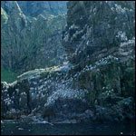 Vacanta in Insula Runde, More og Romsdal, vacante de vis, calatorie, insule si locuri de scufundat, top plaje de vis