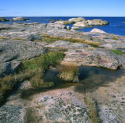 Vacanta in Insula Ramsvik, Bohuslan, vacante de vis, calatorie, insule si locuri de scufundat, top plaje de vis