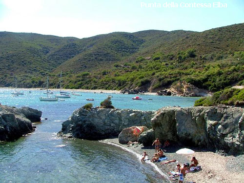 Vacanta in Punta della Contessa, Elba, vacante de vis, calatorie, insule si locuri de scufundat, top plaje de vis