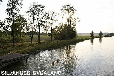 Vacanta in Siljansee, Svealand, vacante de vis, calatorie, insule si locuri de scufundat, top plaje de vis