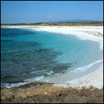 Vacanta in Is Arutas, Sardinia, vacante de vis, calatorie, insule si locuri de scufundat, top plaje de vis