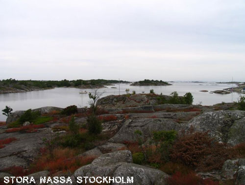 Vacanta in Stora Nassa, Stockholm, vacante de vis, calatorie, insule si locuri de scufundat, top plaje de vis