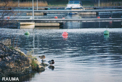 Vacanta in Rauma, Finlanda de Vest, vacante de vis, calatorie, insule si locuri de scufundat, top plaje de vis