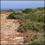 Vacanta in Kaki Lagada, Paxos, vacante de vis, calatorie, insule si locuri de scufundat, top plaje de vis