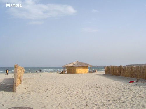 Vacanta in Mamaia, vacante de vis, calatorie, insule si locuri de scufundat, top plaje de vis