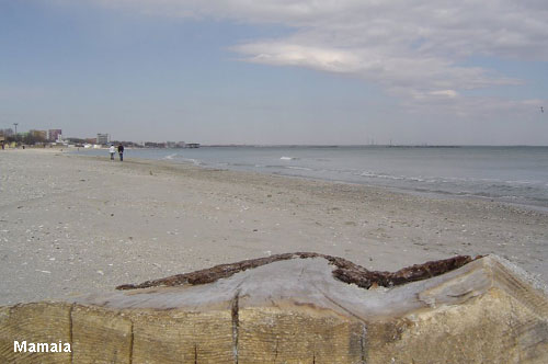 Vacanta in Mamaia, vacante de vis, calatorie, insule si locuri de scufundat, top plaje de vis