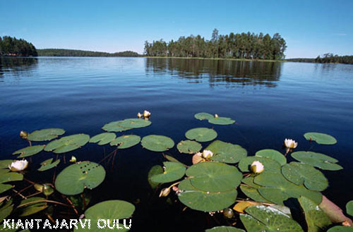 Vacanta in Kiantajarvi, Oulu, vacante de vis, calatorie, insule si locuri de scufundat, top plaje de vis
