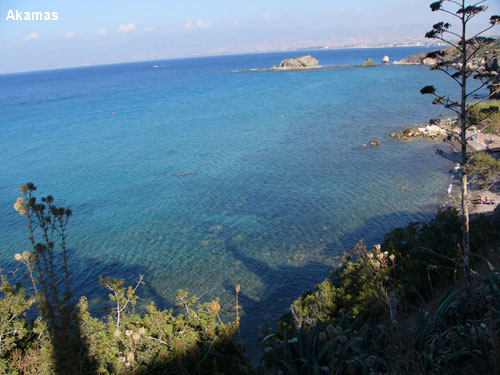 Vacanta in Akamas, vacante de vis, calatorie, insule si locuri de scufundat, top plaje de vis