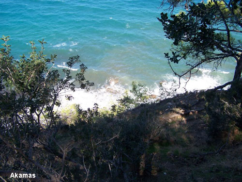 Vacanta in Akamas, vacante de vis, calatorie, insule si locuri de scufundat, top plaje de vis