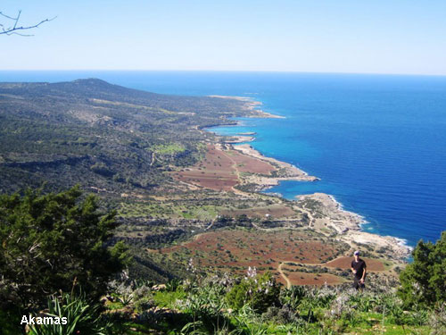 Vacanta in Akamas, vacante de vis, calatorie, insule si locuri de scufundat, top plaje de vis