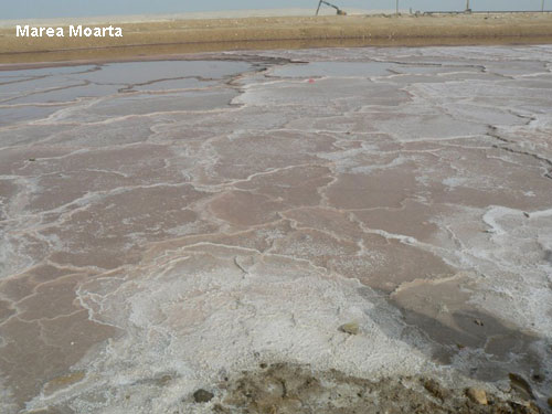 Vacanta in Marea Moarta, vacante de vis, calatorie, insule si locuri de scufundat, top plaje de vis