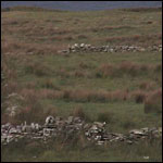 Vacanta in Cliffs of Moher, Clare, vacante de vis, calatorie, insule si locuri de scufundat, top plaje de vis