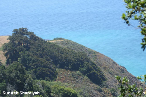Vacanta in Sur, Ash Sharqiyah, vacante de vis, calatorie, insule si locuri de scufundat, top plaje de vis