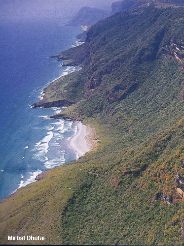 Vacanta in Mirbat, Dhofar, vacante de vis, calatorie, insule si locuri de scufundat, top plaje de vis