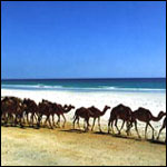 Vacanta in Mirbat, Dhofar, vacante de vis, calatorie, insule si locuri de scufundat, top plaje de vis