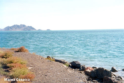 Vacanta in Marea Caspica, vacante de vis, calatorie, insule si locuri de scufundat, top plaje de vis