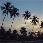 Vacanta in Colva Beach, Margao, vacante de vis, calatorie, insule si locuri de scufundat, top plaje de vis