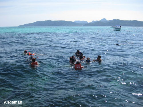 Vacanta in Andaman, vacante de vis, calatorie, insule si locuri de scufundat, top plaje de vis
