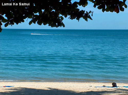 Vacanta in Lamai, Ko Samui, vacante de vis, calatorie, insule si locuri de scufundat, top plaje de vis