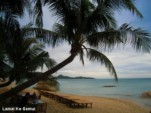 Vacanta in Lamai, Ko Samui, vacante de vis, calatorie, insule si locuri de scufundat, top plaje de vis