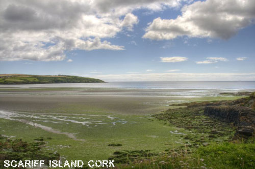 Vacanta in Scariff Island, Cork, vacante de vis, calatorie, insule si locuri de scufundat, top plaje de vis