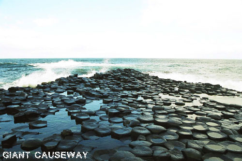 Vacanta in Giant's Causeway, Irlanda de Nord, vacante de vis, calatorie, insule si locuri de scufundat, top plaje de vis