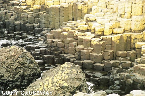 Vacanta in Giant's Causeway, Irlanda de Nord, vacante de vis, calatorie, insule si locuri de scufundat, top plaje de vis